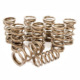 Engle 6602 Performance Hi - Rev Dual Valve Springs For Vw Air - cooled Engines - Moore Parts