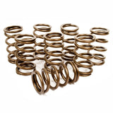 Engle Vz35 Stage 1 Vw Camshaft Kit With Cam - Lifters - Springs - Retainers - Keepers - Moore Parts