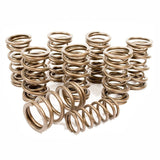 Engle Fk8 Stage 2 Vw Camshaft Kit With Cam - Lifters - Springs - Retainers - Keepers - Moore Parts